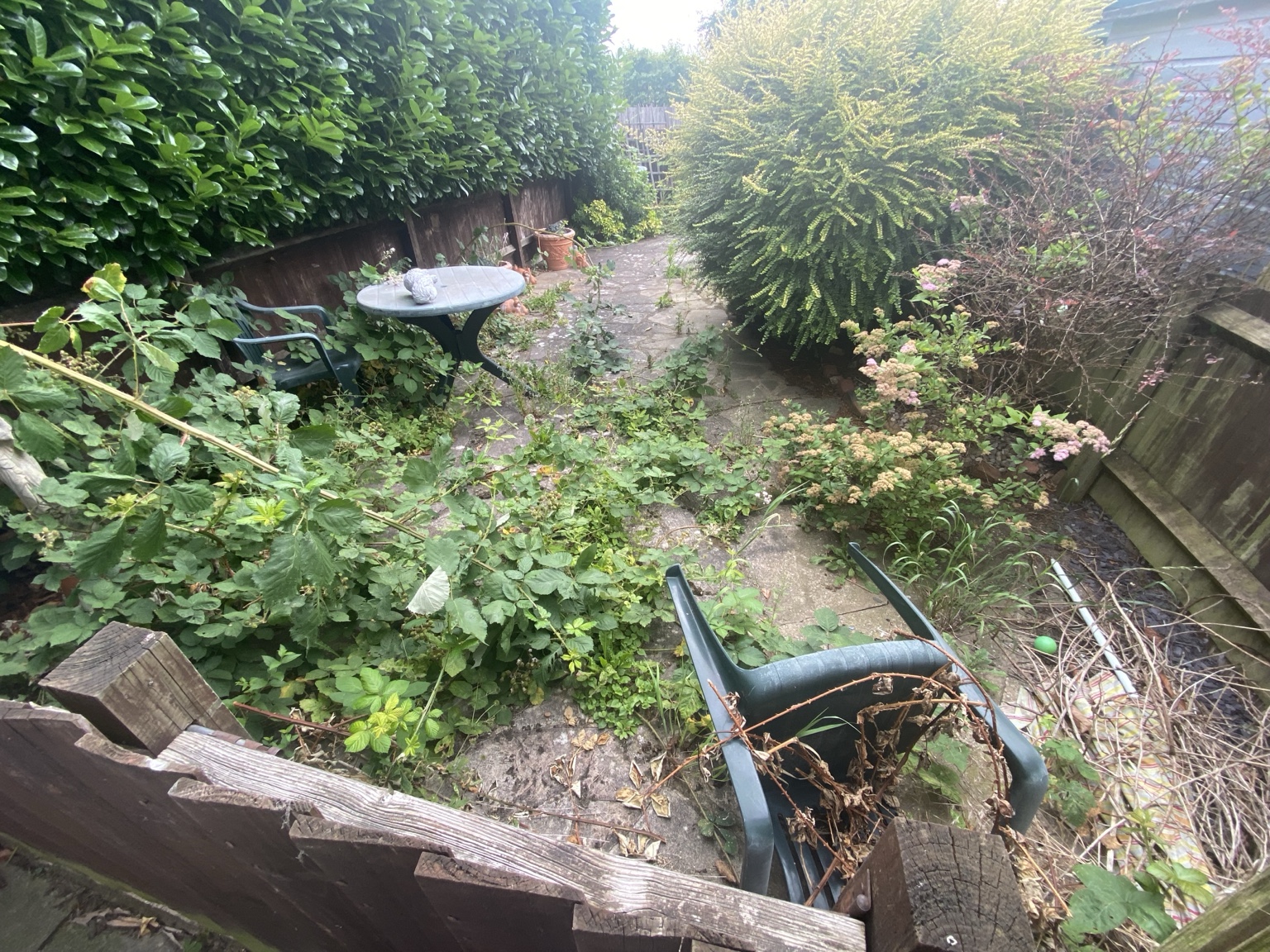 Overgrown garden before an Everyday Sidekick practical support session