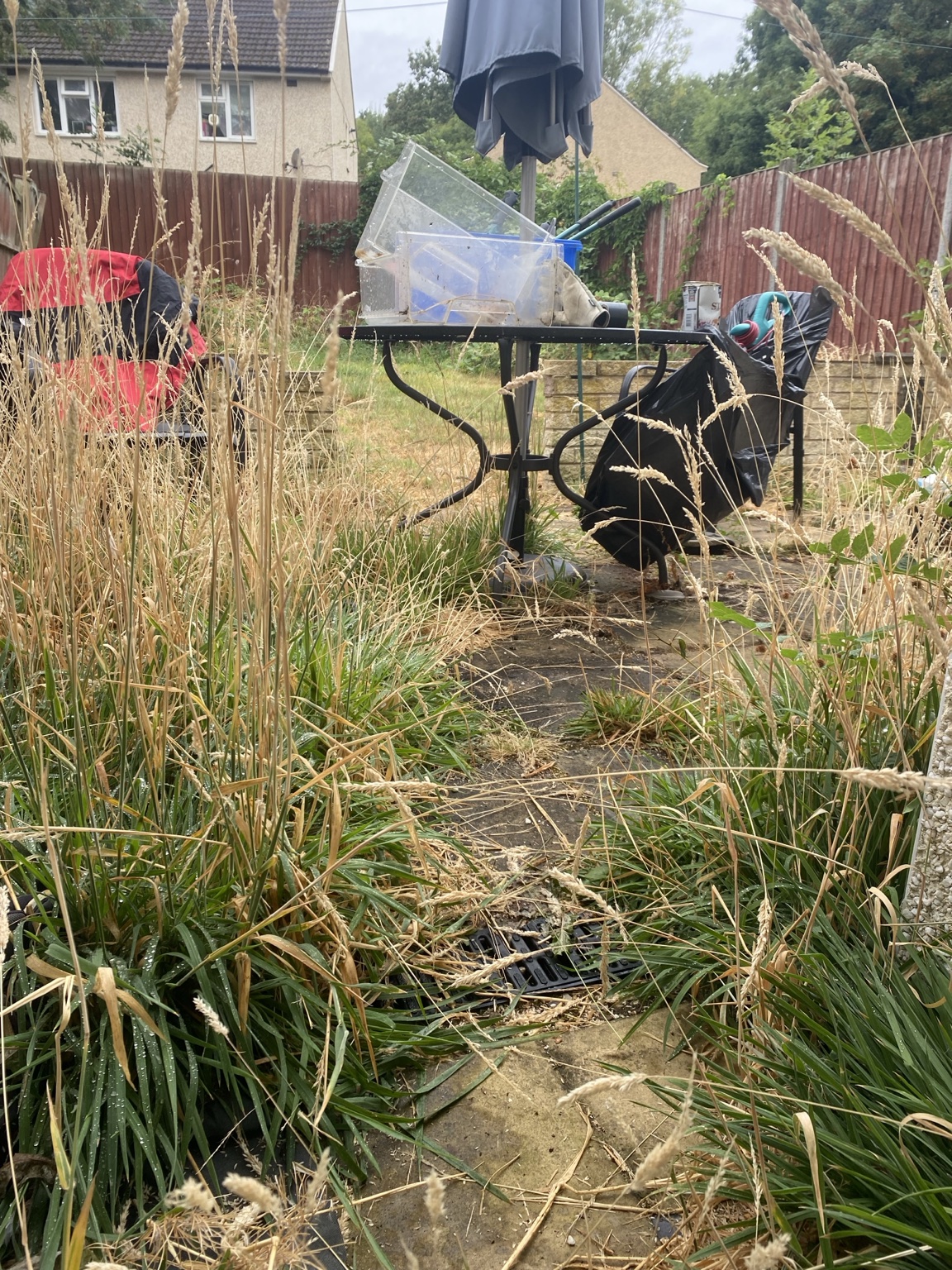 Overgrown garden before practical help