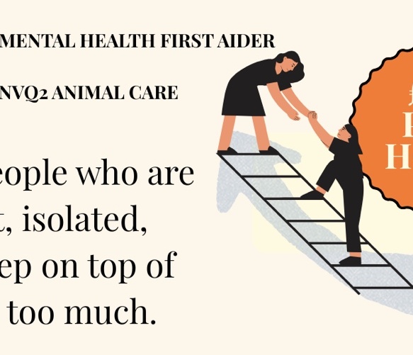 Woman helping another woman up a ladder